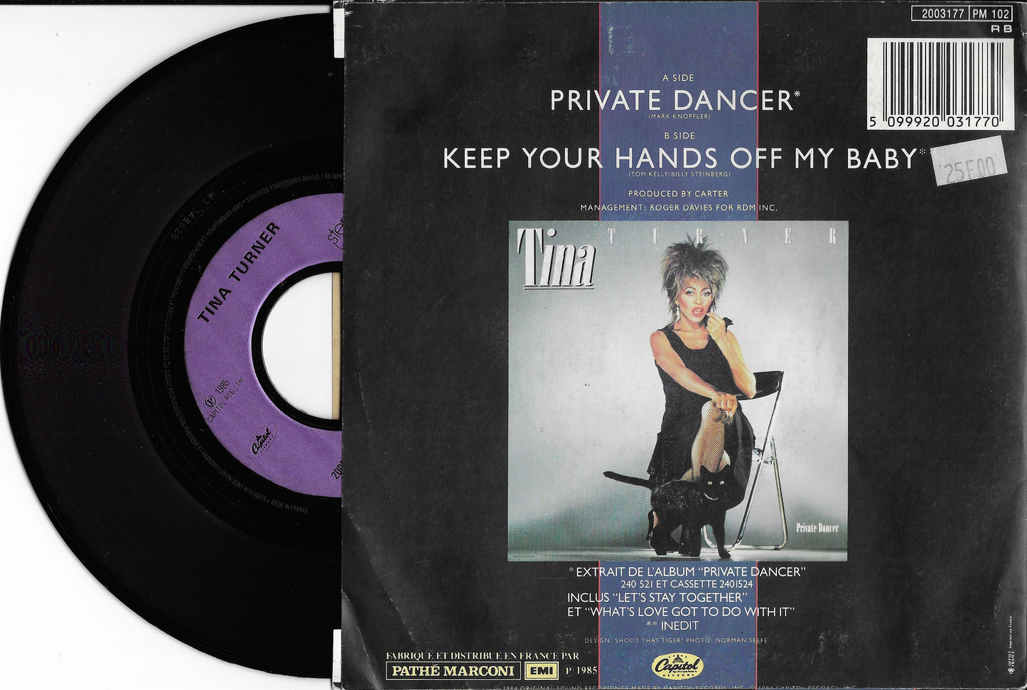 TINA TURNER - Private Dancer