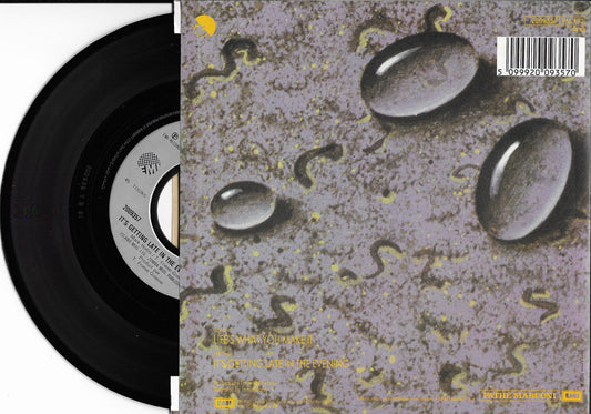 TALK TALK - Life's What You Make It