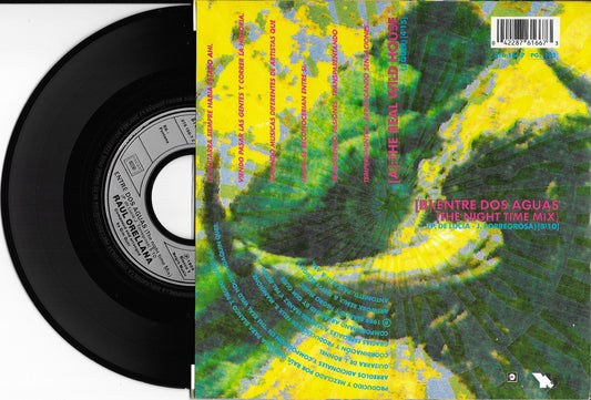 RAUL ORELLANA - The Real Wild House