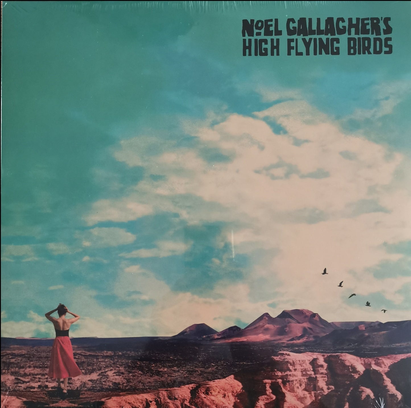 NOEL GALLAGHER'S  HIGH FLYING BIRDS - Who built the moon ?