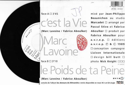MARC LAVOINE - C'est La Vie